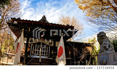 秋天的筒方神社和絢麗的銀杏葉 秋天的筒方神社和絢麗的銀杏葉 137138958