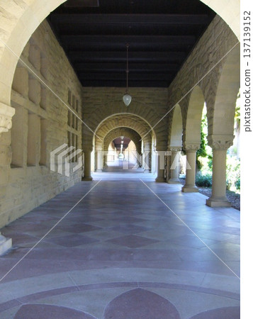 斯坦福大學 137139152