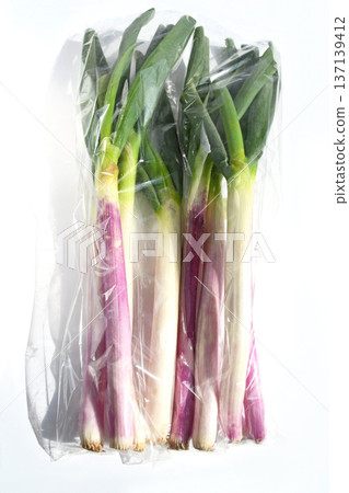 青蔥(紅洋蔥) 青蔥(紅洋蔥) 137139412