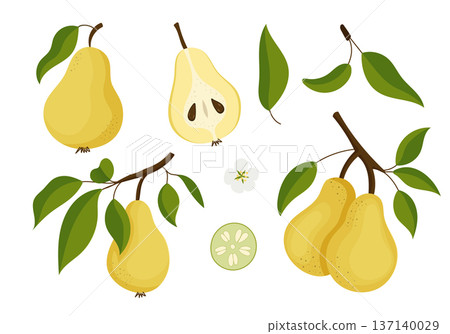 Hand drawn set of pears - branches, fruits, flowers and pieces. 137140029