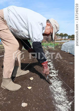 在外地工作的老人 137140210