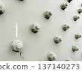 Close-up of a large screw 137140273