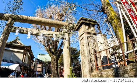 The grounds of Senju Shrine and its stone and Senbon torii gates on a clear day in Adachi Ward, Tokyo 137141133