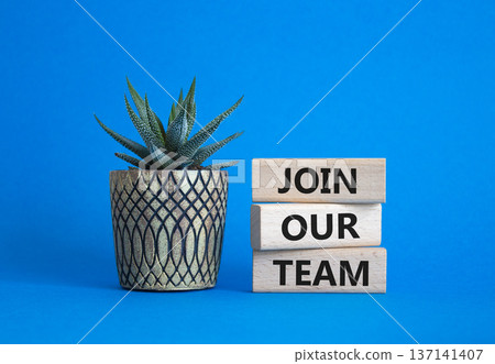Join our team symbol. Wooden blocks with words Join our team. Beautiful blue background with succulent plant. Business and Join our team concept. Copy space. 137141407