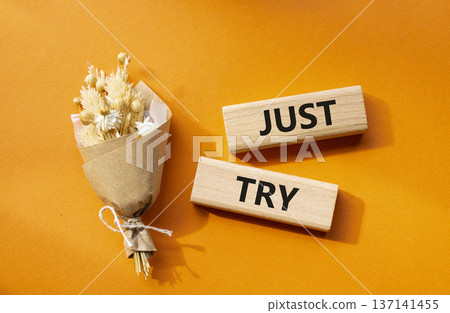 Just try symbol. Concept words Just try on wooden blocks. Beautiful orange background with bouquet of flowers. Business and Just Try concept. Copy space. Just try symbol. Concept words Just try on wooden blocks. Beautiful orange background with bouquet of flowers. Business and Just Try concept. Copy space. 137141455