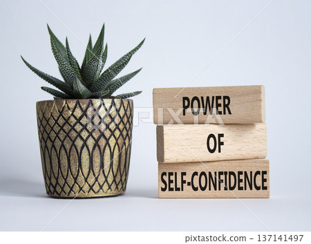 Self-Confidence symbol. Wooden blocks with words Power of Self-Confidence. Beautiful white background with succulent plant. Business concept. Copy space. Self-Confidence symbol. Wooden blocks with words Power of Self-Confidence. Beautiful white background with succulent plant. Business concept. Copy space. 137141497