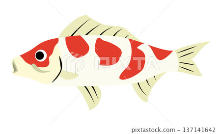 Simple and cute carp illustration - Japanese fish vector material 137141642