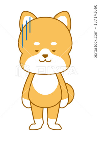 柴犬變形插圖令人失望 柴犬變形插圖令人失望 137141660