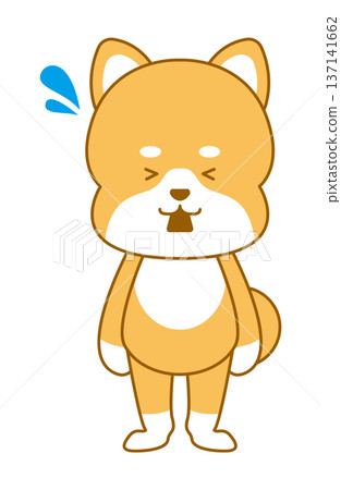 柴犬畸形插圖混亂 137141662