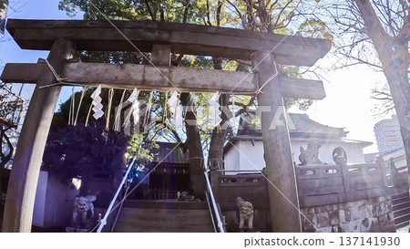 Winter light shining on the torii gate and worship hall of Senju Hikawa Shrine Winter light shining on the torii gate and worship hall of Senju Hikawa Shrine 137141930