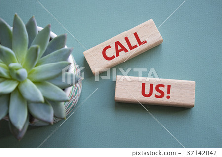 Call Us symbol. Wooden blocks with words Call Us. Beautiful grey green background with succulent plant. Business and Call Us concept. Copy space. 137142042