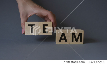 Team symbol. Concept word Team on wooden cubes. Businessman hand. Beautiful grey background. Business and Team concept. Copy space. 137142248