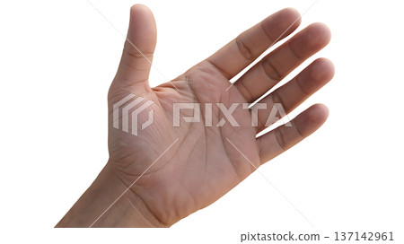 Human hand with palm open, showing detailed lines and textures of skin. 137142961