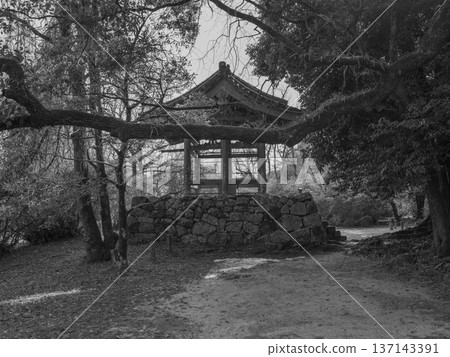 單色，觀世音寺，沒有鐘的鐘樓和樟樹 137143391