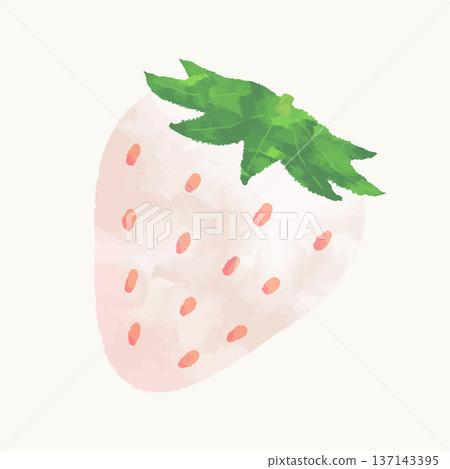手繪水彩白色草莓(向量版) 手繪水彩白色草莓(向量版) 137143395
