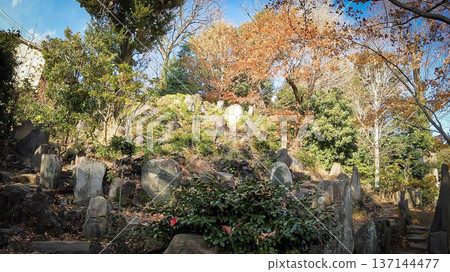 藤塚（音羽富士）與護國寺的秋葉 137144477