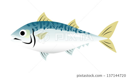 Simple and cute mackerel illustration Food and fish vector material Simple and cute mackerel illustration Food and fish vector material 137144720