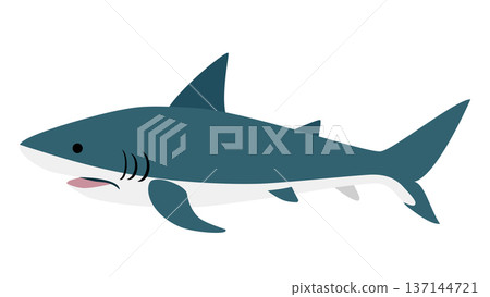 Simple and cute shark illustration - vector material of sea creatures 137144721