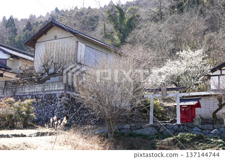 道路兩旁的老房子、天神宮的鳥居以及神社 137144744