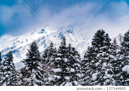 從舊博卡步道岔口(通往西穗高嶽的登山道)眺望西穗高嶽山頂峰。在嚴冬攀登西穗高岳 從舊博卡步道岔口(通往西穗高嶽的登山道)眺望西穗高嶽山頂峰。在嚴冬攀登西穗高岳 137144985