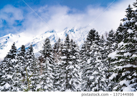 從舊博卡步道岔口(通往西穗高嶽的登山道)眺望西穗高嶽山頂峰。在嚴冬攀登西穗高岳 從舊博卡步道岔口(通往西穗高嶽的登山道)眺望西穗高嶽山頂峰。在嚴冬攀登西穗高岳 137144986