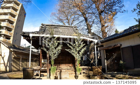 東京文京區冬日藍天與清利木島神神寺 東京文京區冬日藍天與清利木島神神寺 137145095