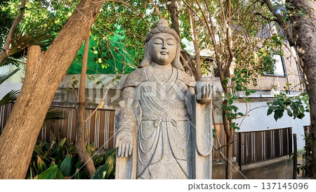 Kisshoten, the guardian deity of Buddhism, is enshrined in the tranquil grounds 137145096