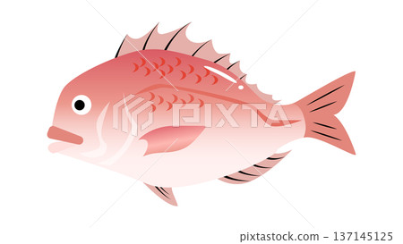 簡單可愛的鯛魚插圖,食物和魚類向量素材 簡單可愛的鯛魚插圖,食物和魚類向量素材 137145125