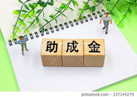 A block with the word "grant" written on it 137145279