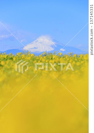 Soleil Hill強姦場和富士山 137145331