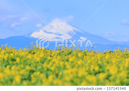 Soleil Hill強姦場和富士山 137145340