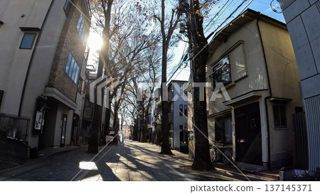 Kishimojin Shrine approach, winter sunlight filtering through the trees and a quiet residential area 137145371