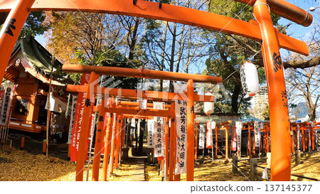 Takeyoshi Inari Shrine at Homyoji Temple, Kishimojin Shrine, Zoshigaya, Tokyo 137145377