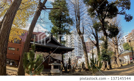 雜司谷鬼志茂神堂的庭院景色和藍天 137145544