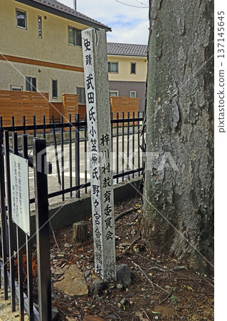 野宮神社（松本） 137145645