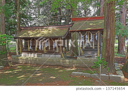 野宮神社(松本) 野宮神社(松本) 137145654
