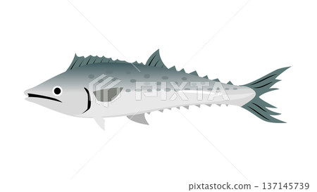 簡單可愛的西班牙鯖魚插圖,食物和魚類向量素材 簡單可愛的西班牙鯖魚插圖,食物和魚類向量素材 137145739