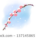 165_Weeping Plum Snow. 137145865
