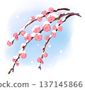 166_Weeping Plum Blossoms 137145866