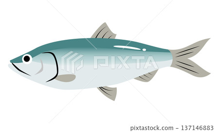 簡單可愛的鯡魚插圖,食物和魚類向量素材 簡單可愛的鯡魚插圖,食物和魚類向量素材 137146883