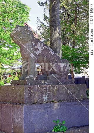Fukashi Shrine (Matsumoto) Fukashi Shrine (Matsumoto) 137146960