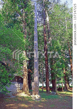 Susukisui Shrine (Matsumoto) 137147225