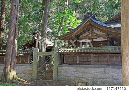 薄水神社(松本) 薄水神社(松本) 137147230