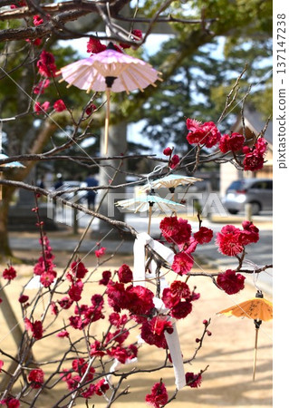 幕府將軍神社 137147238