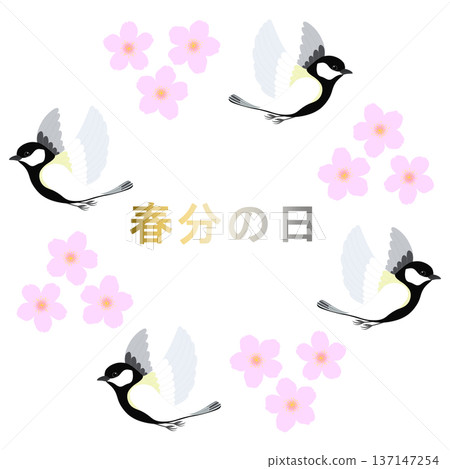 Spring Equinox_Cherry Blossoms and Birds Illustration 137147254