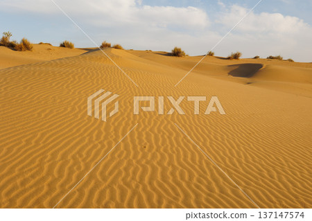 Sam desert in Jaisalmer, India Sam desert in Jaisalmer, India 137147574