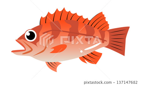 Simple and cute illustration of rockfish - Food and fish vector material 137147682