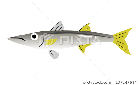 Simple and cute illustration of barracuda - Food and fish vector material Simple and cute illustration of barracuda - Food and fish vector material 137147684