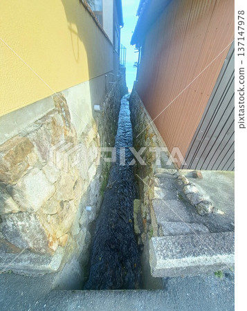 後巷的水道匯入琵琶湖。 後巷的水道匯入琵琶湖。 137147978