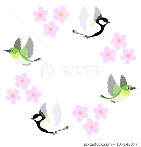 Cherry blossoms and birds illustration 137148077